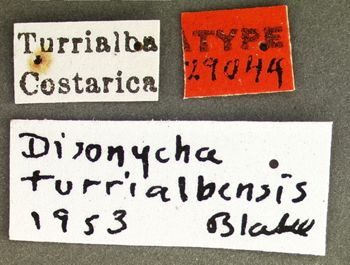 Media type: image;   Entomology 29044 Aspect: labels